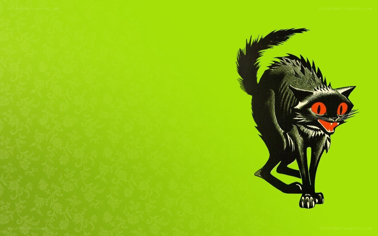 black cat on green background