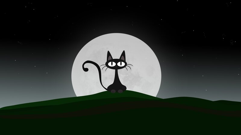 Black Cat on Hill — Calm, Night