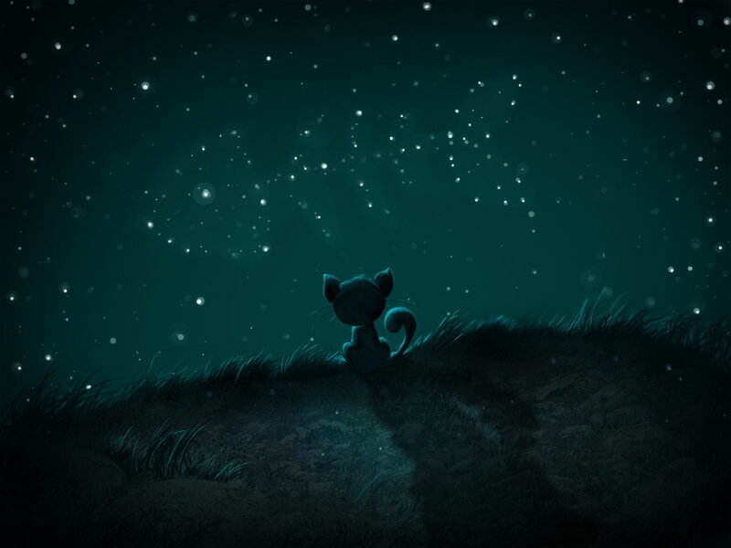 Black Cat on Hill — Dark Green, Serene, Night, Digital Art, Stars, Grass