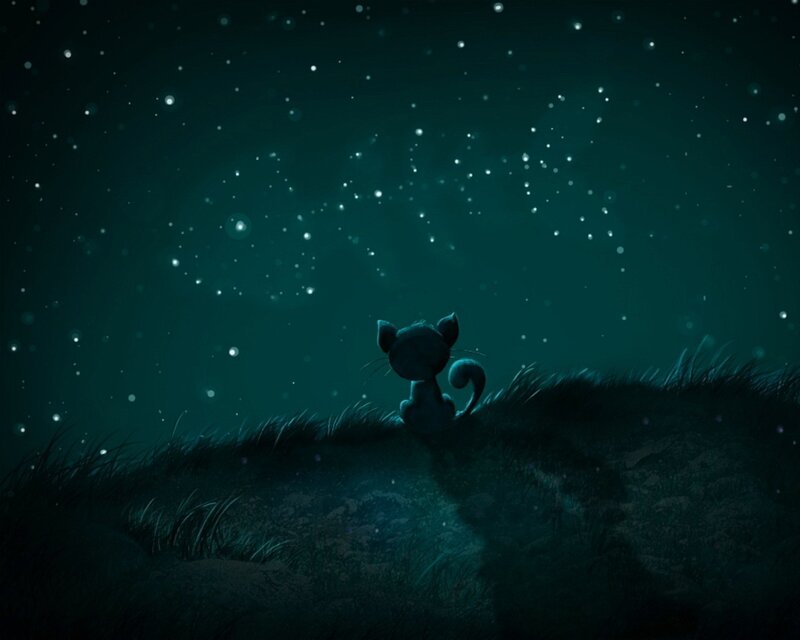 Black Cat on Hill — Dark Green, Serene, Night