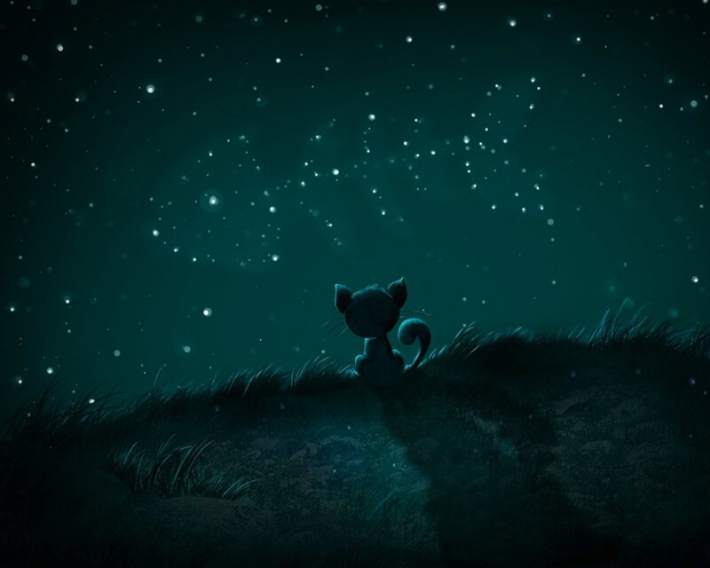 Black Cat on Hill — Dark Green, Serene