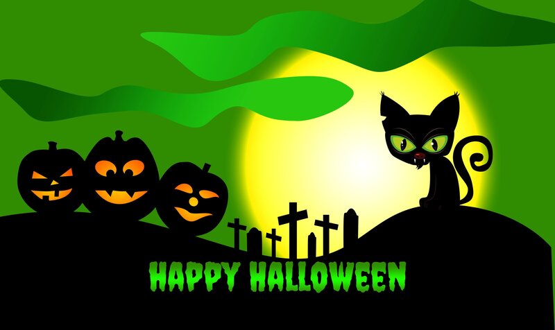 Black Cat on Hill — Green