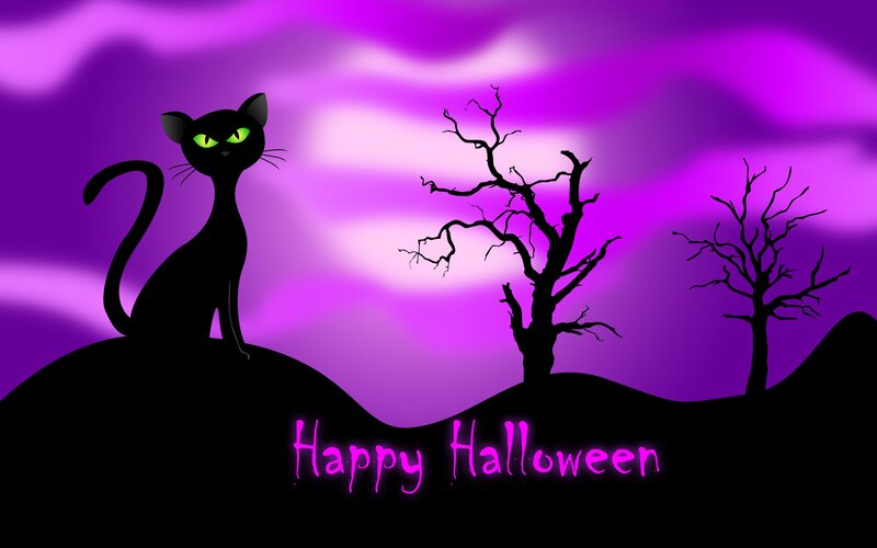 Black Cat on Hill — Purple