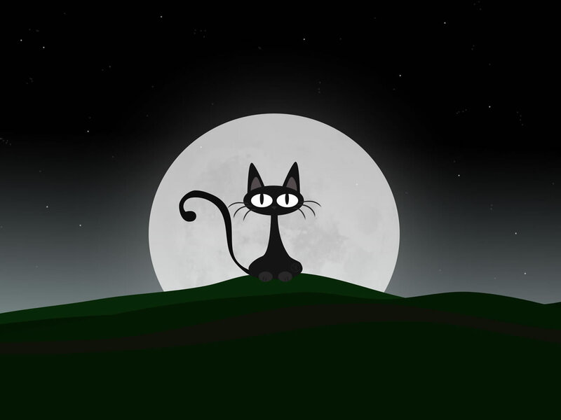 Black Cat on Hill — Serene, Night