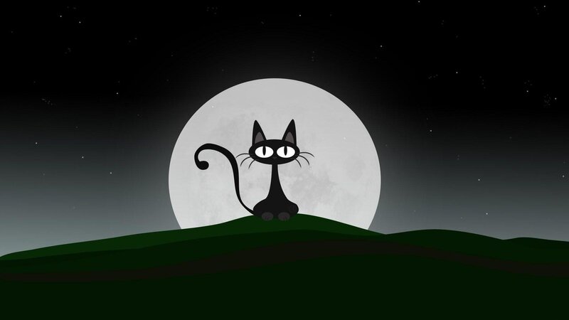 Black Cat on Hill — Serene