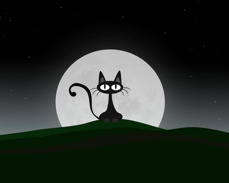 Black Cat on Hill