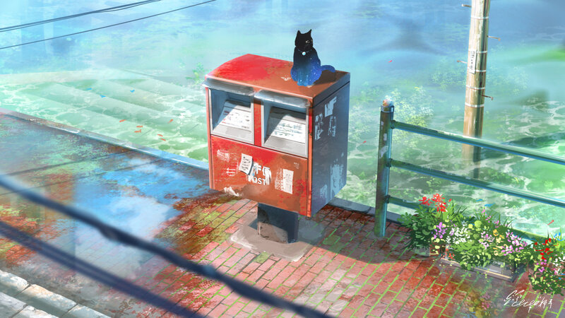 Black Cat on Mailbox