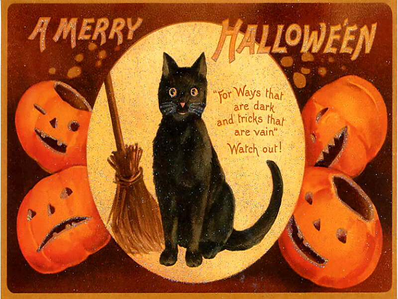 Black Cat on Moon — Orange