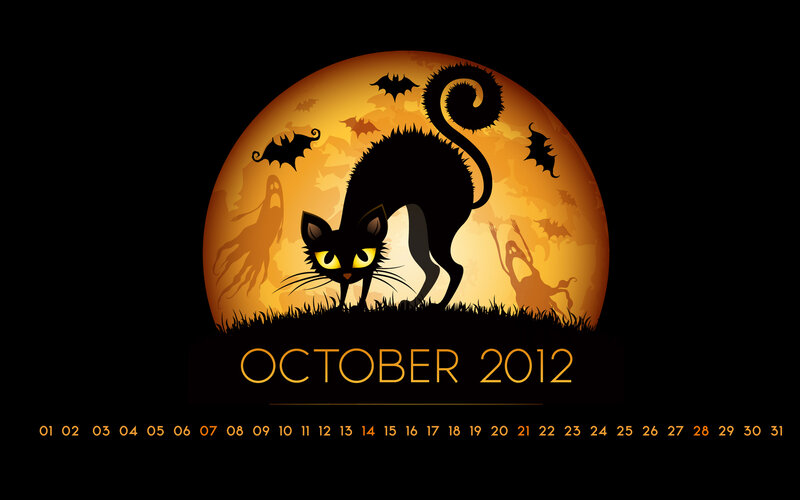 Black Cat on Moon
