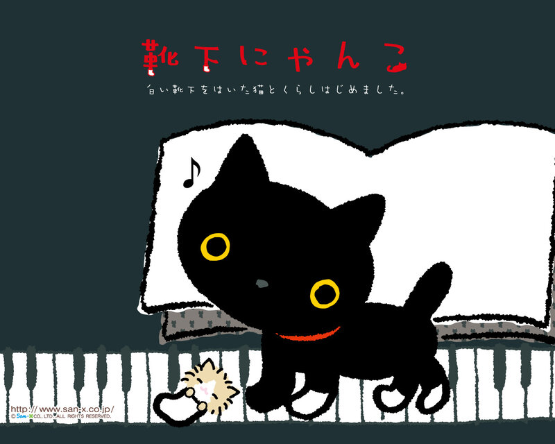 Black Cat on Piano — Calm