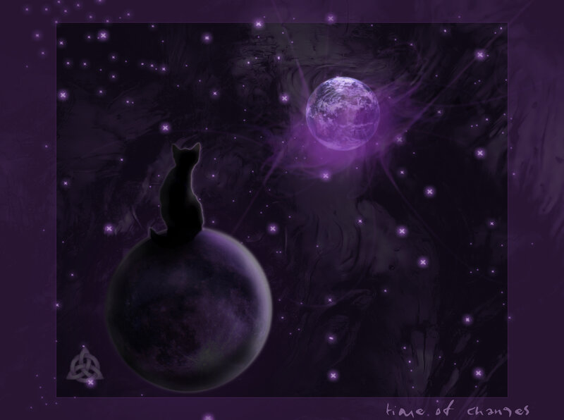 Black Cat on Planet