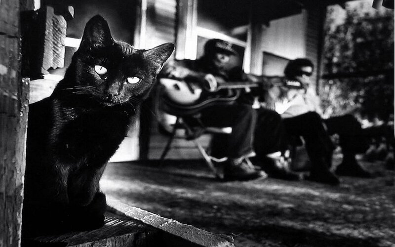 Black Cat on Porch