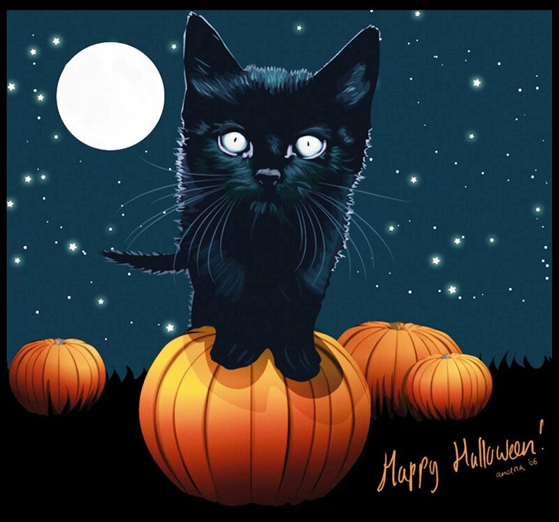 Black Cat on Pumpkin — Creepy, Night