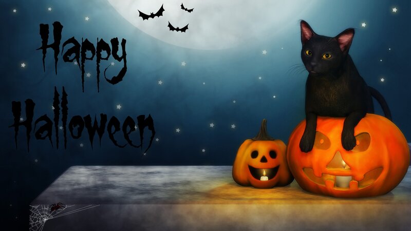 Black Cat on Pumpkin — Orange, Creepy