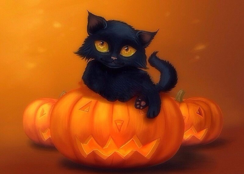Black Cat on Pumpkin — Orange, Festive, Night, Digital Art