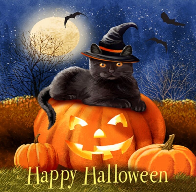 Black Cat on Pumpkin — Orange, Festive, Night, Illustration