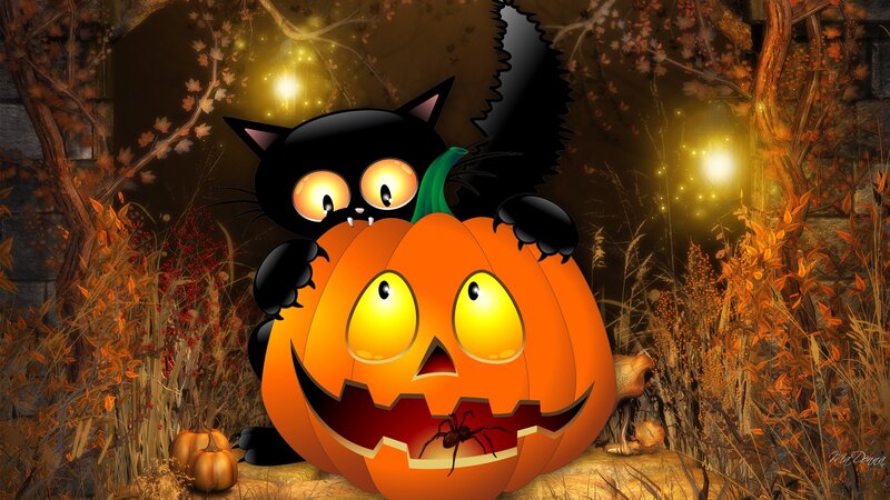 Black Cat on Pumpkin — Orange, Festive, Night