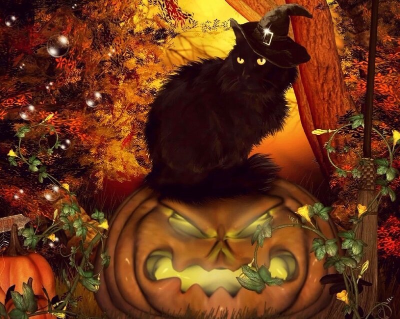 Black Cat on Pumpkin — Orange, Spooky, Autumn