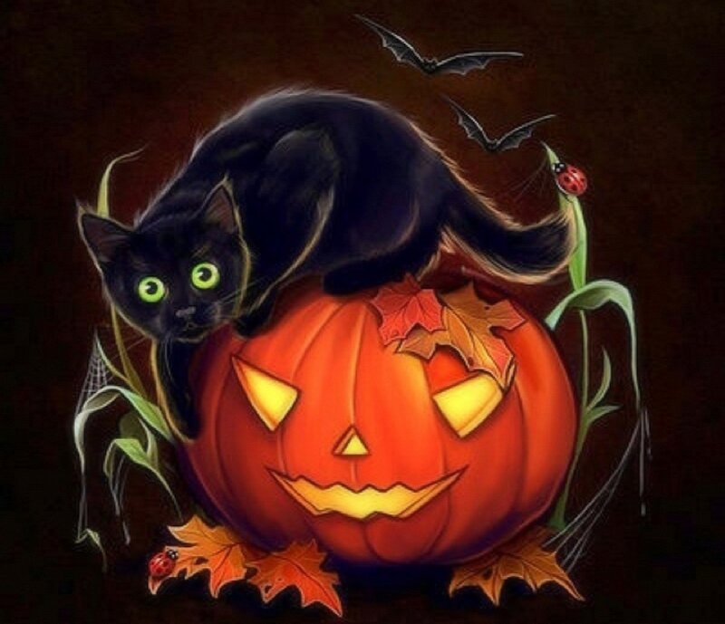 Black Cat on Pumpkin — Orange, Spooky, Night