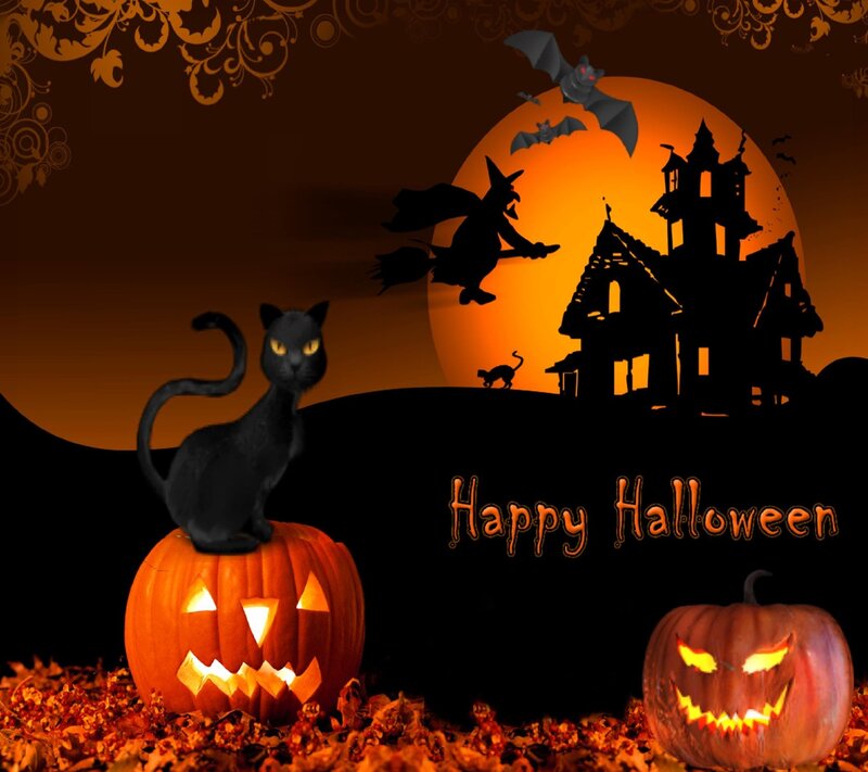 Black Cat on Pumpkin — Orange, Spooky