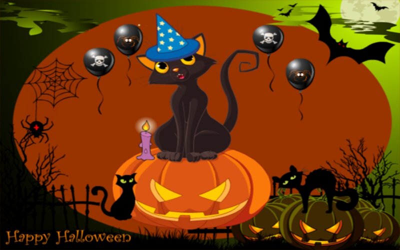 Black Cat on Pumpkin — Orange