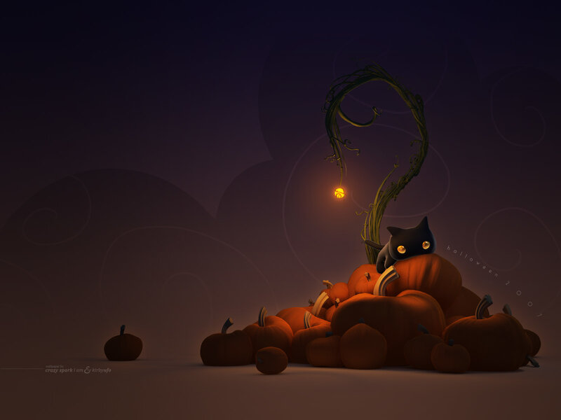 Black cat on pumpkin pile