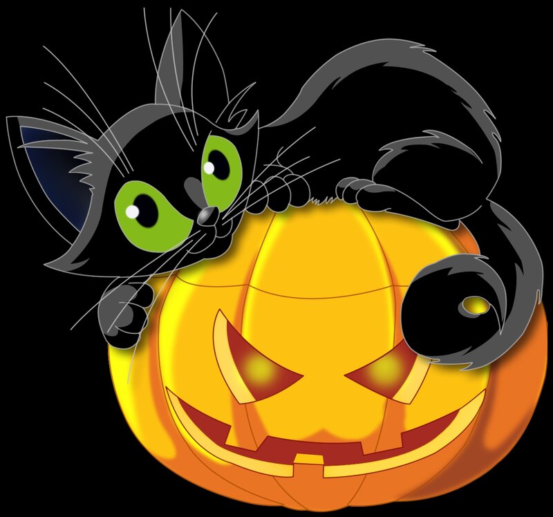 Black Cat on Pumpkin — Playful