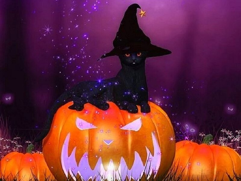 Black Cat on Pumpkin — Purple