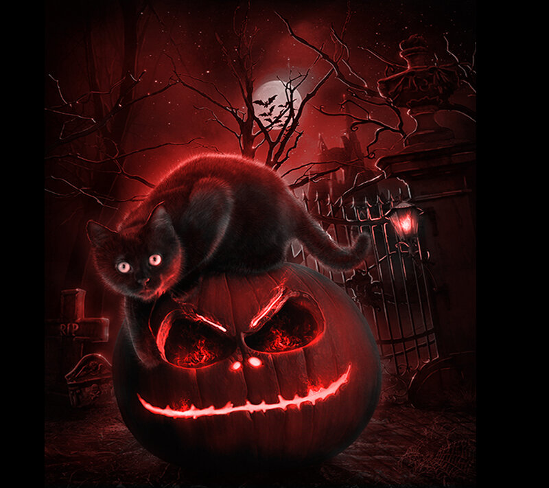 Black Cat on Pumpkin — Red