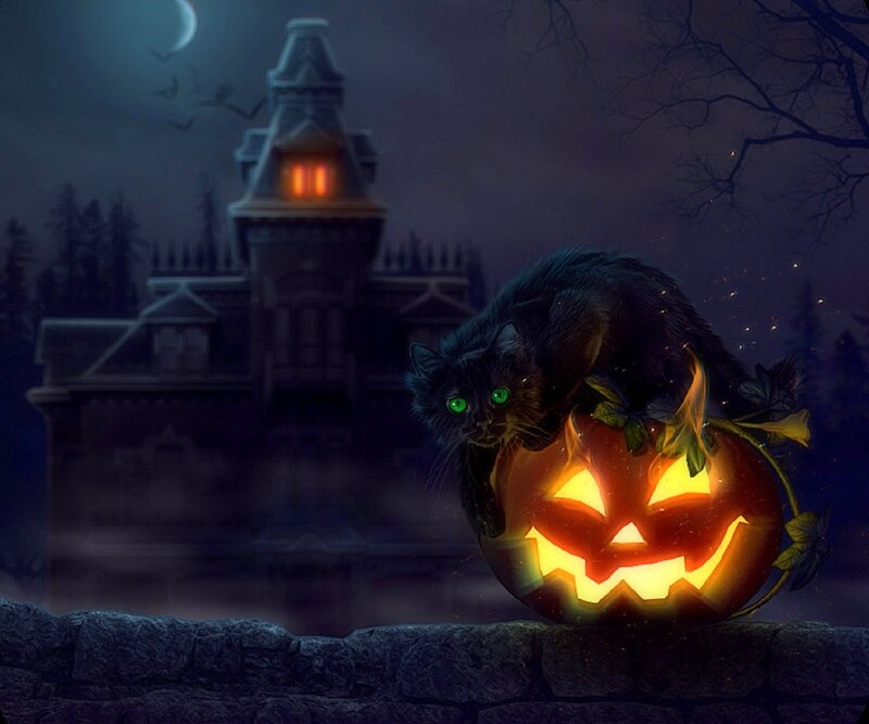 Black Cat on Pumpkin — Spooky, Night