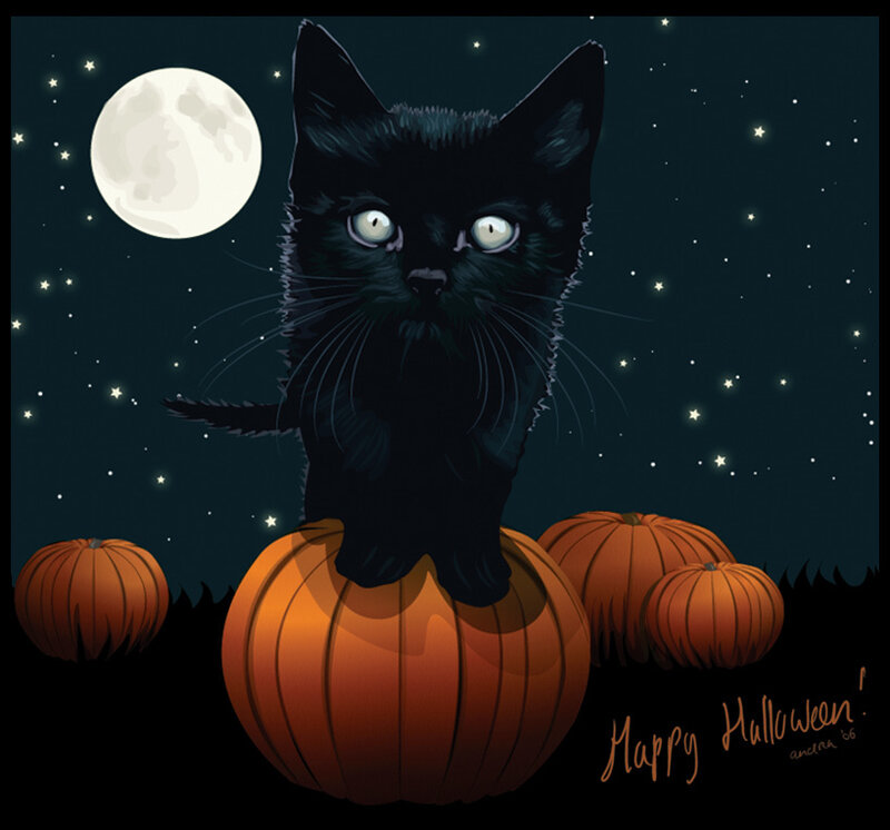 Black Cat on Pumpkin