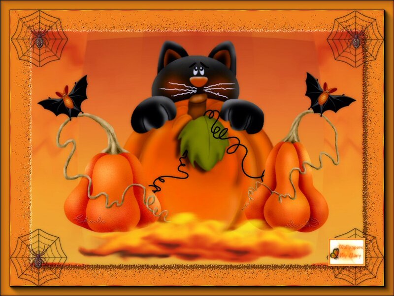 Black Cat on Pumpkins — Orange, Festive