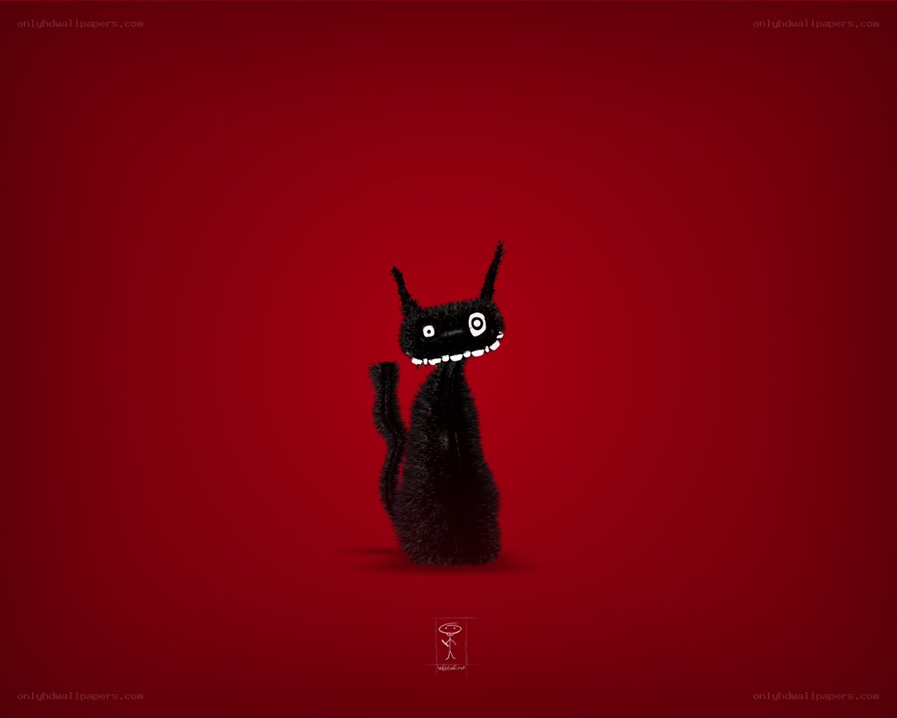Black cat on red background