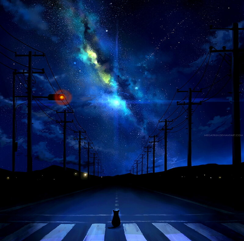 Black Cat on Road