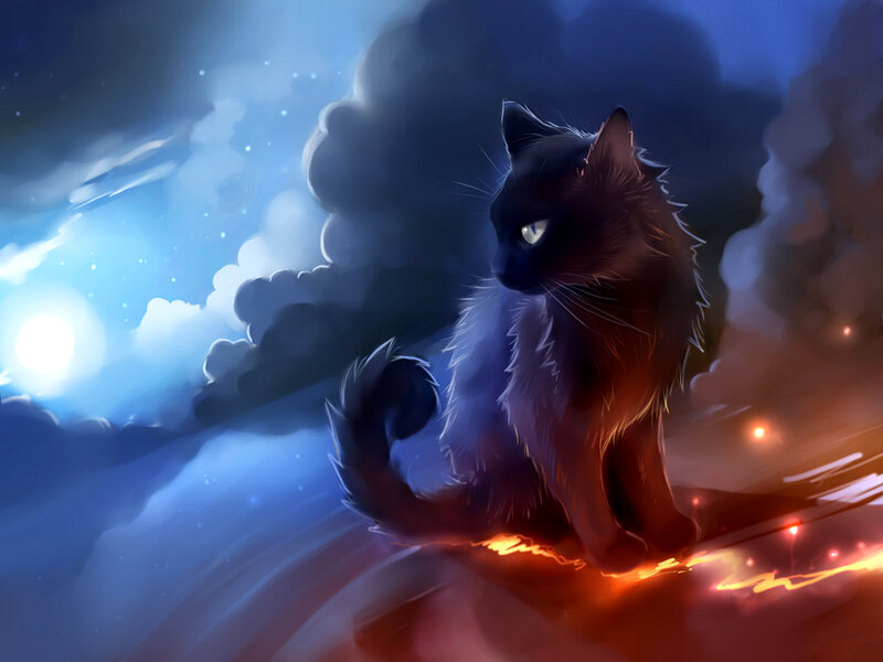 Black Cat on Rock — Blue, Dramatic, Night, Digital Art