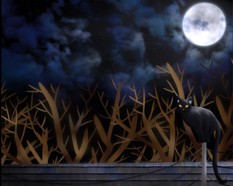 Black Cat on Roof — Mysterious