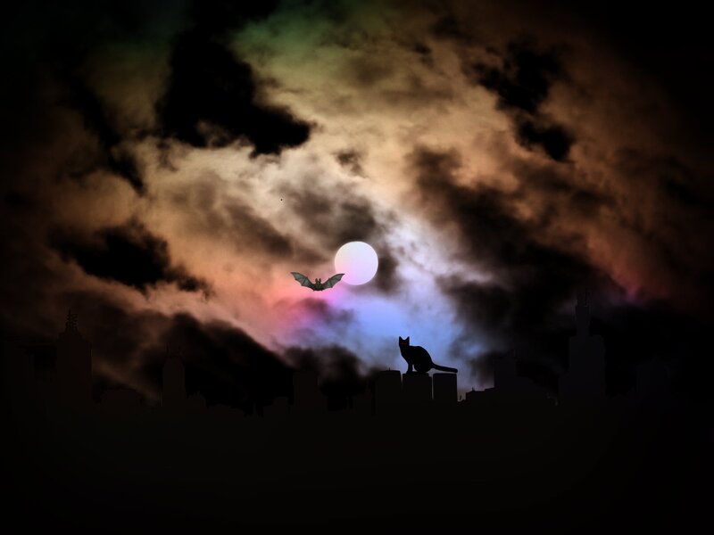 Black Cat on Rooftop — Dramatic