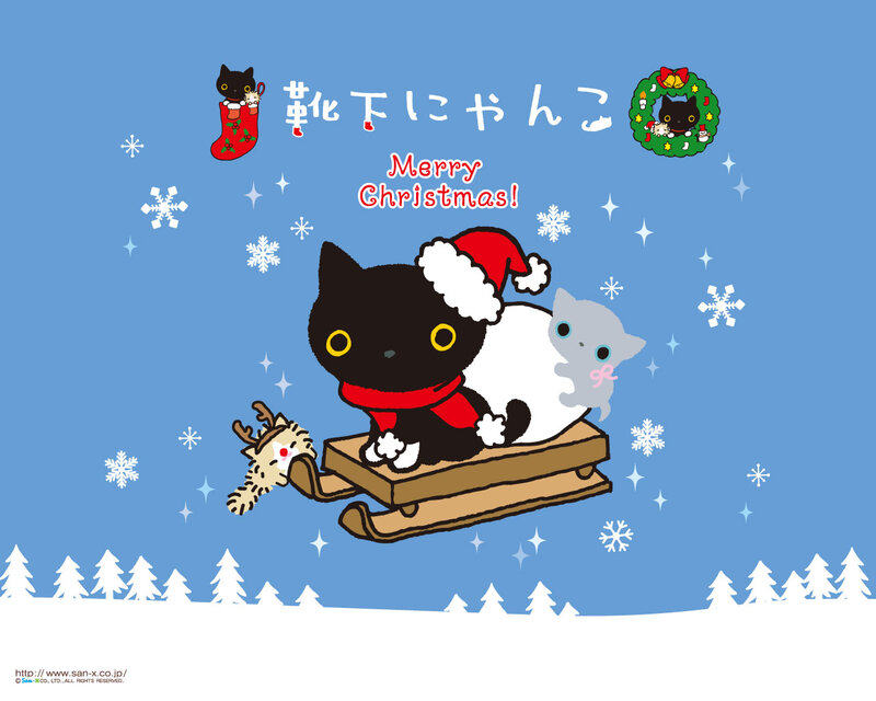 Black Cat on Sled