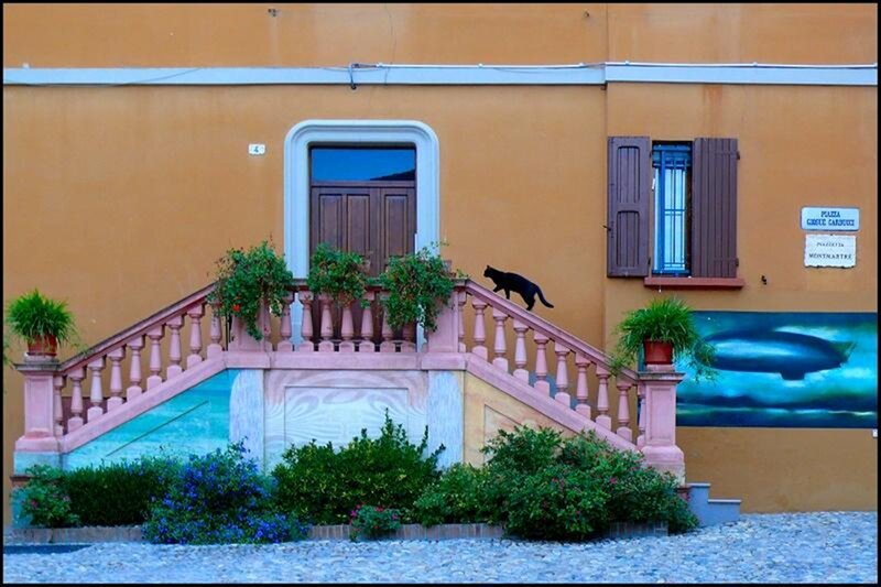 Black Cat on Staircase