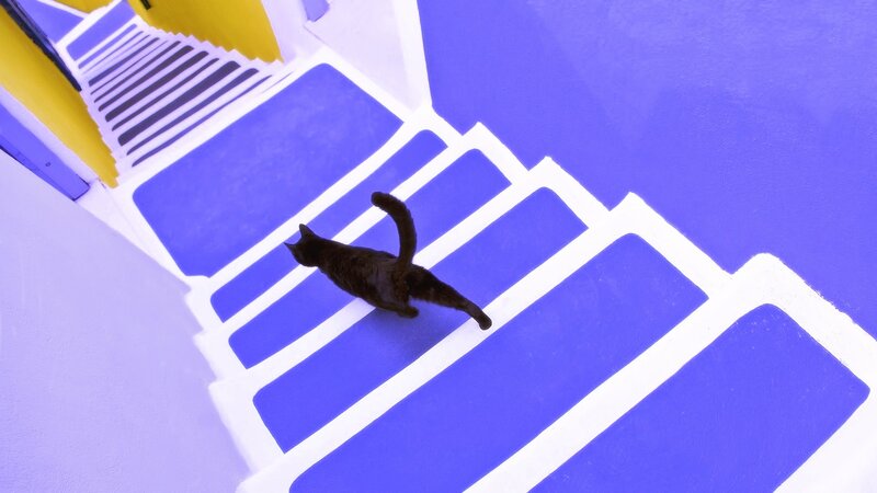 Black Cat on Stairs — Blue