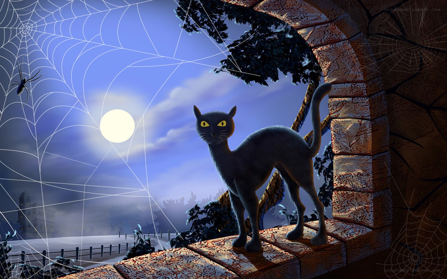 Black cat on stone wall