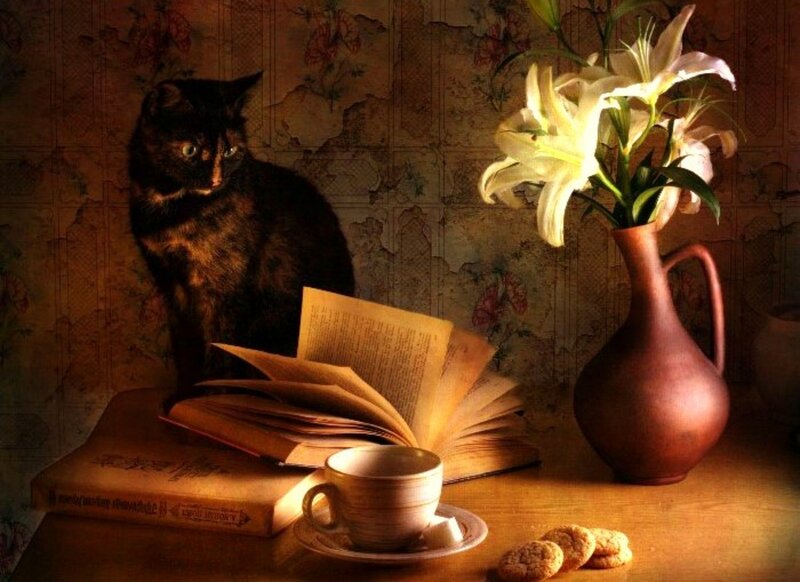 Black Cat on Table