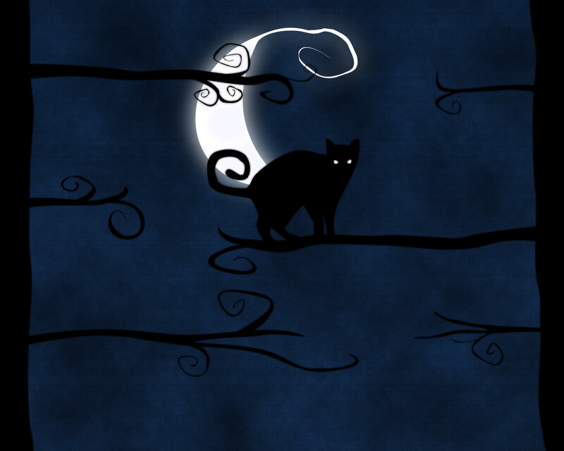 Black Cat on Tree Branch — Blue