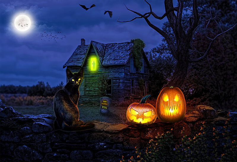 Black Cat on Wall — Blue, Spooky