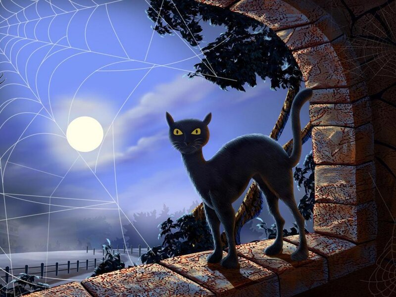 Black Cat on Wall — Blue