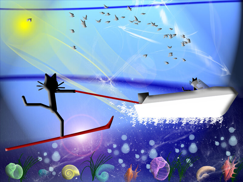 Black Cat on Water Ski