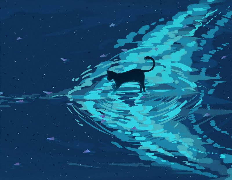 Black Cat on Water