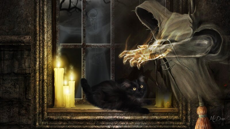 Black Cat on Windowsill — Dark