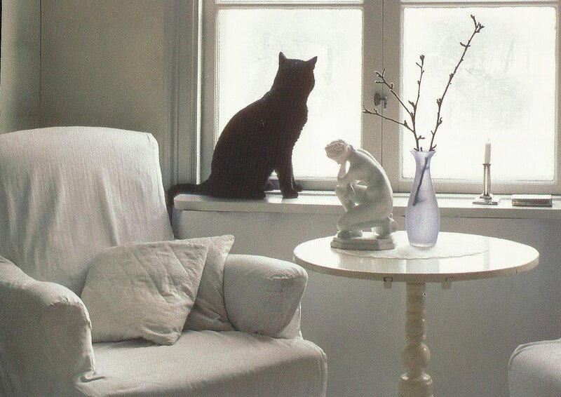 Black Cat on Windowsill — White, Calm