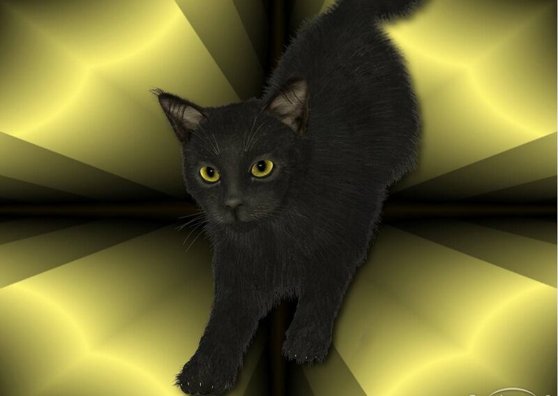 Black Cat on Yellow Background
